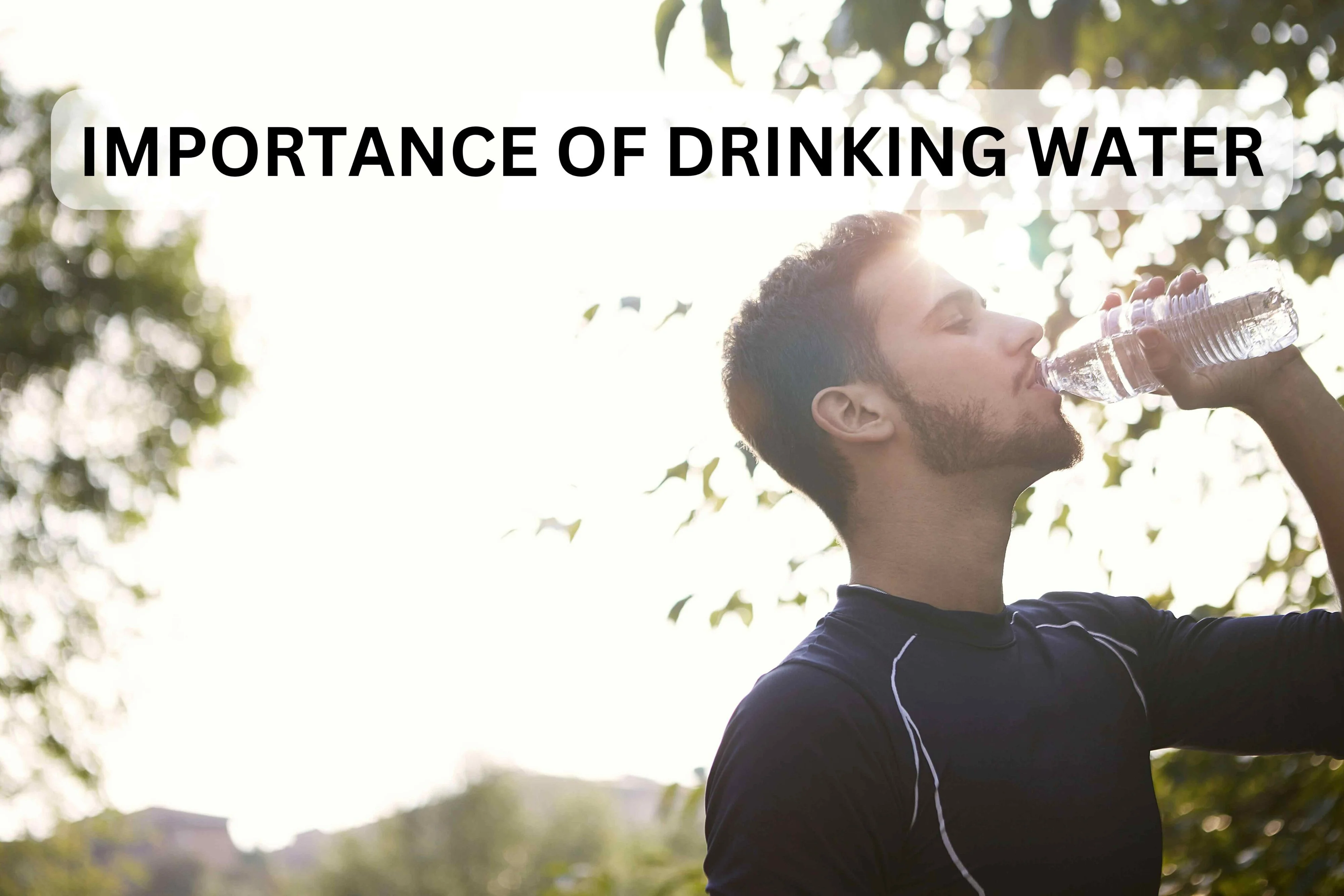 You are currently viewing The Vital Importance of Drinking Water: A Comprehensive Guide